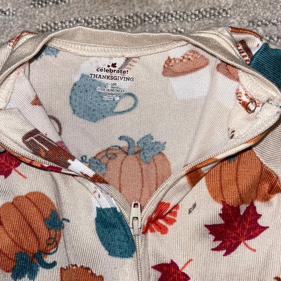 Fall/Thanksgiving Sleeper - Picture 2 of 2